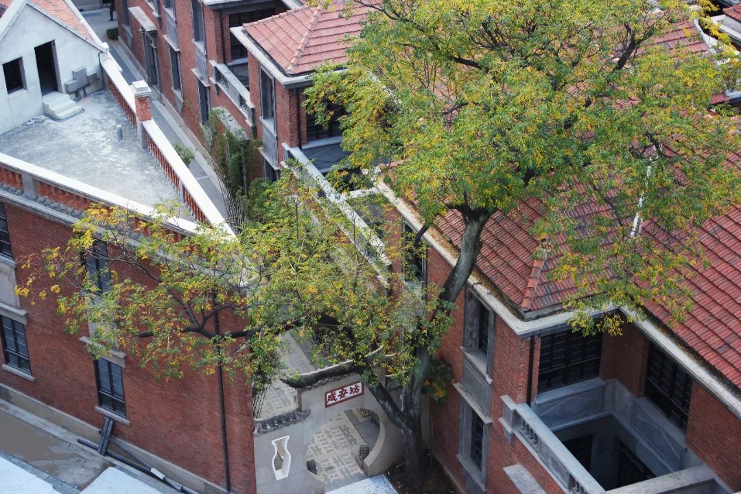 1751418172177257.jpg 1751418172177257.jpg